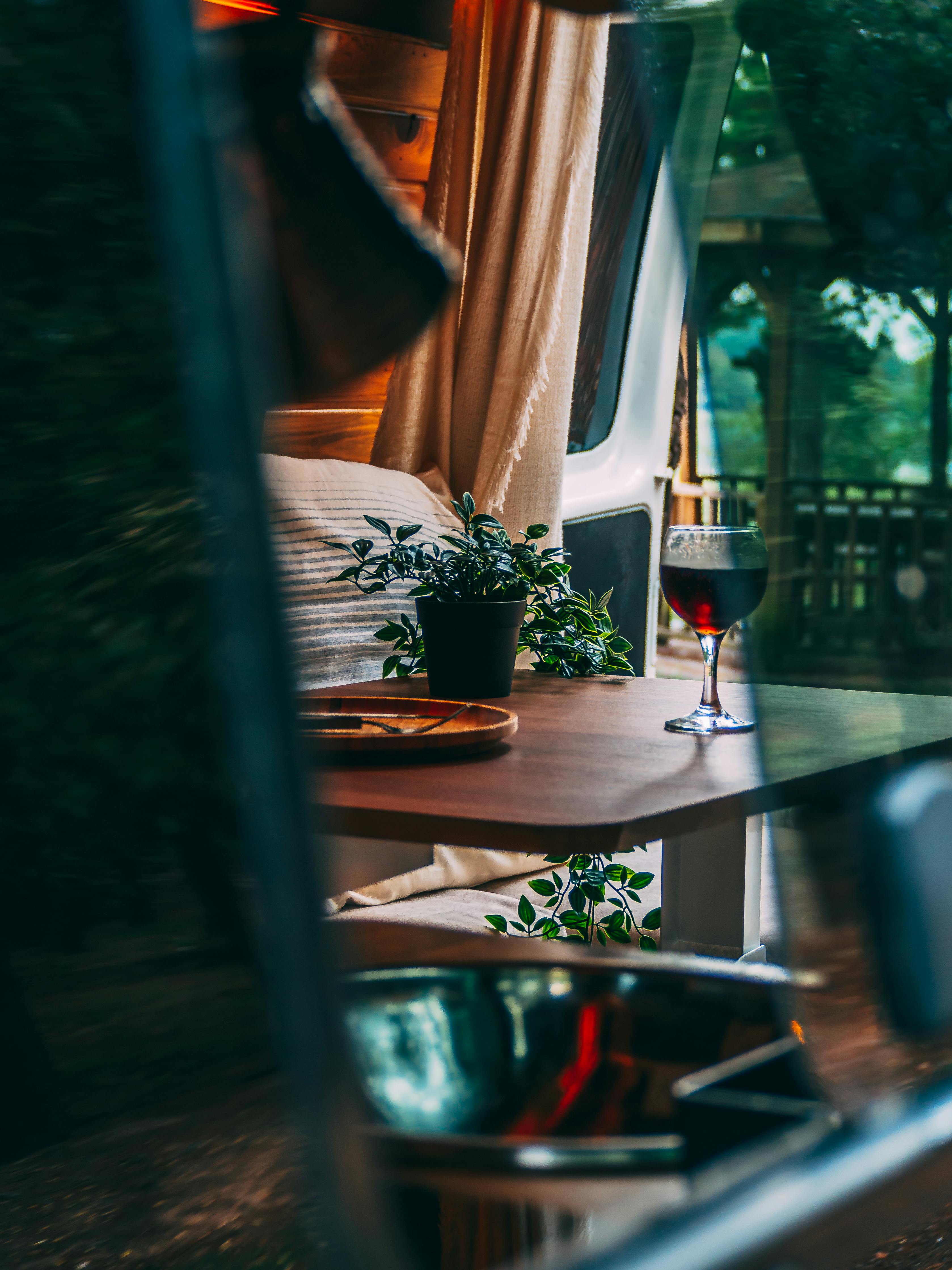 Plant and Wine on Table · Free Stock Photo