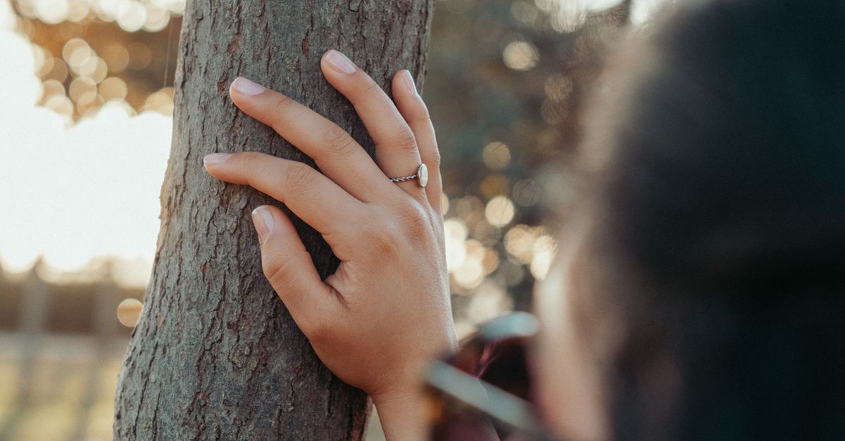 Woman Hand Tree Close up of Woman Hand on Tree · Free Stock Photo