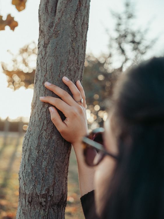 Woman Hand Tree Close up of Woman Hand on Tree · Free Stock Photo
