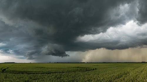 Rain Clouds over Rural Field