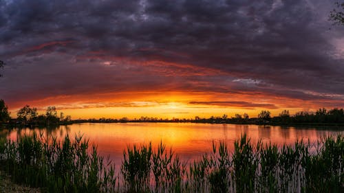 Photos gratuites de aube, beauté dans la nature, brins d'herbe