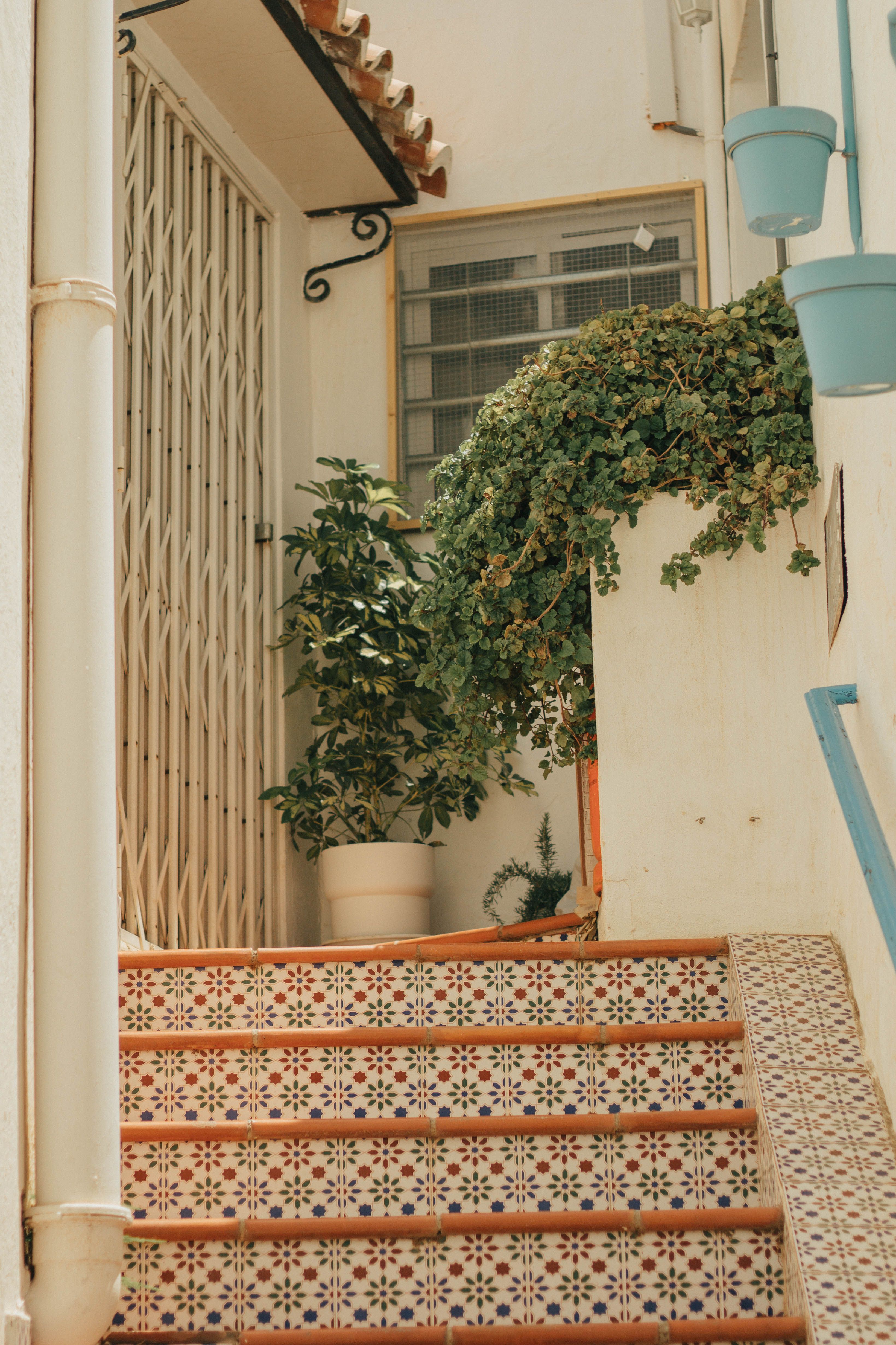 Outdoor staircase with patterned tiles, potted plants and wrought iron door in Mediterranean style setting.
