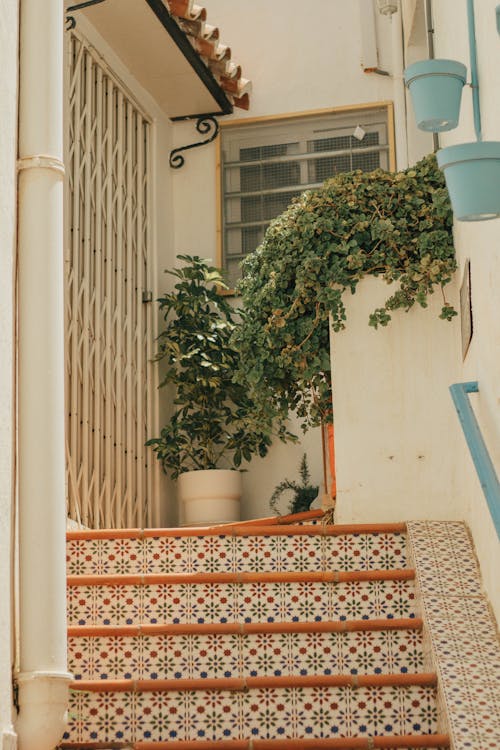 adımlar, balkon, bitkiler içeren Ücretsiz stok fotoğraf