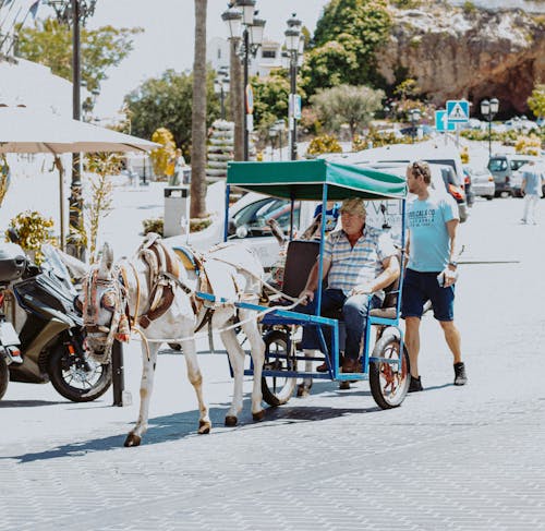 araba, at, Kent içeren Ücretsiz stok fotoğraf