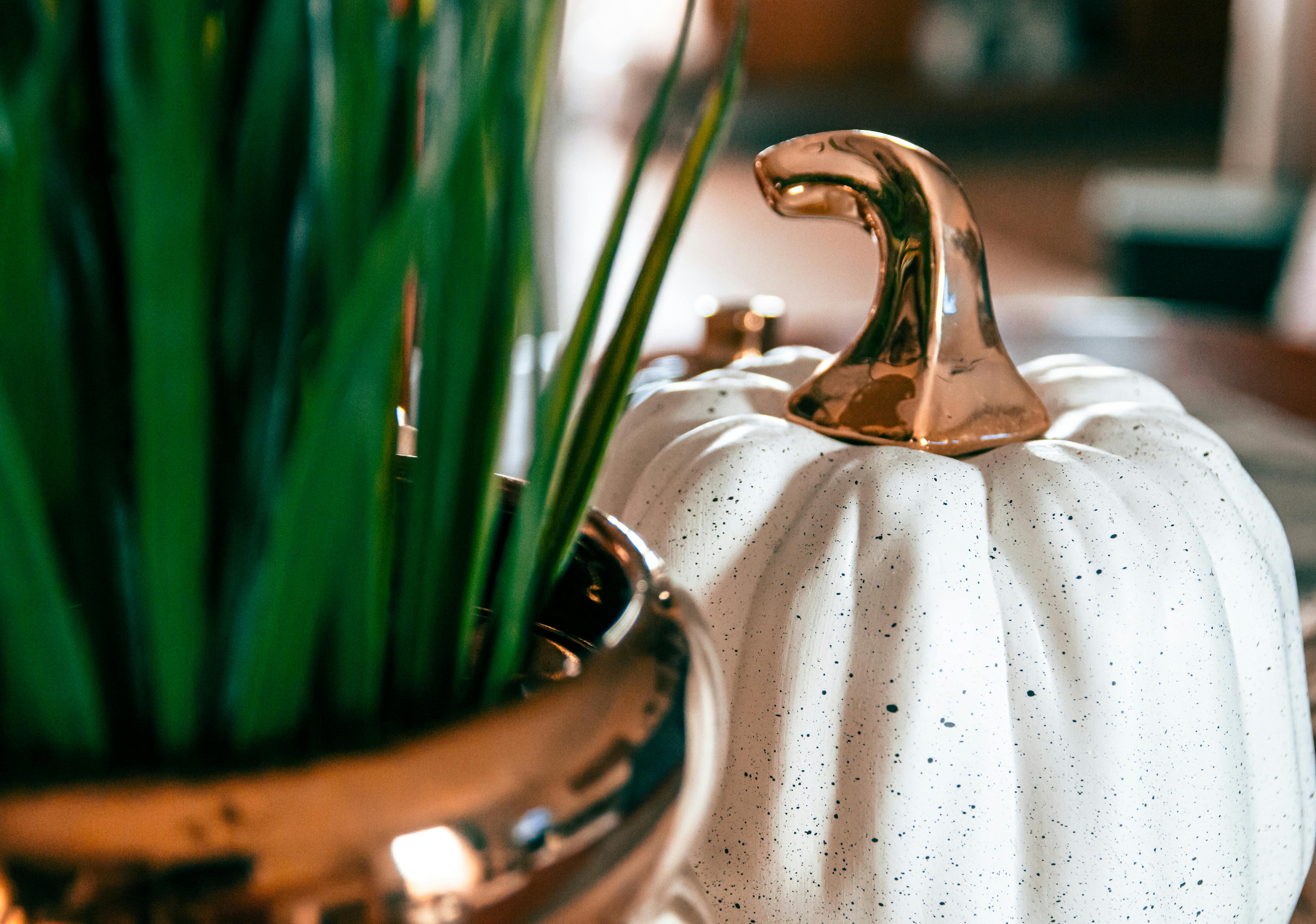 7 Best Hobby Lobby Fall Craft Finds Flying Off Shelves Right Now — Photo by Kostas Dimopoulos on Pexels