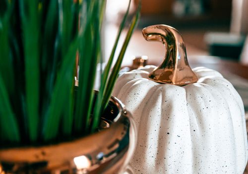 Free Close-up of stylish home decor featuring a white pumpkin and green plant in a copper pot. Stock Photo