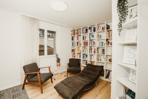 Interior of a Room with Bookshelves 