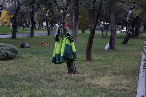 Δωρεάν στοκ φωτογραφιών με αδιάβροχο, αστικός, γρασίδι