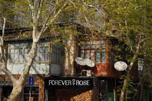 Street view of a rustic building facade with trees and a shop sign saying 'FOREVER ROSE.'