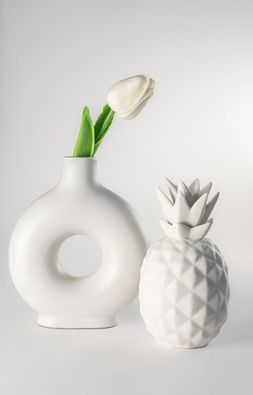 A White Tulip in a Ceramic Vase