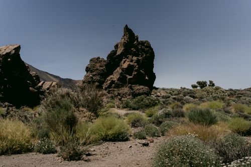 Free Explore the rugged beauty of desert rock formations and arid plants under a clear sky. Stock Photo