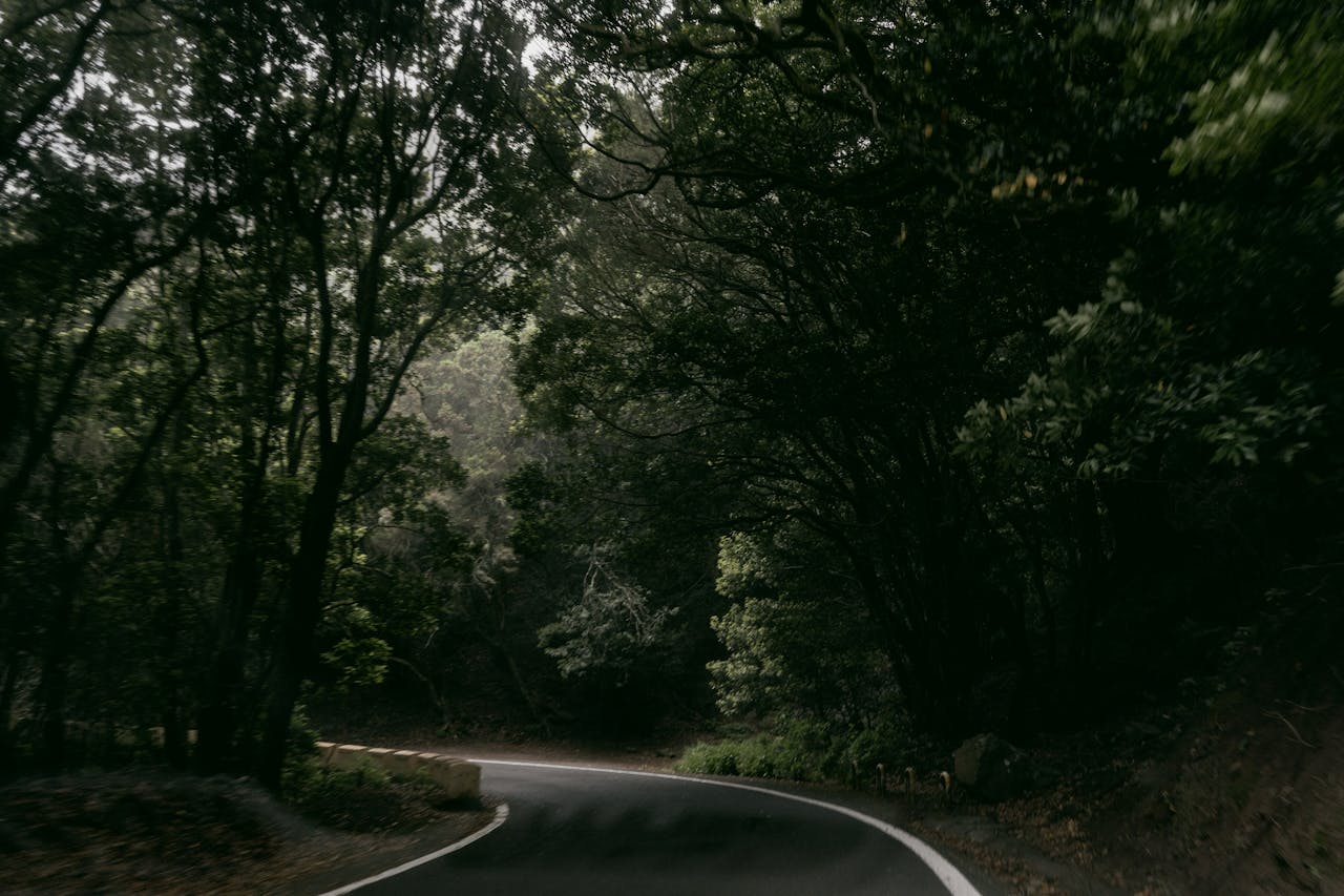 How to Connect to Anyview Cast Sharp Tv? Answer] CGAA