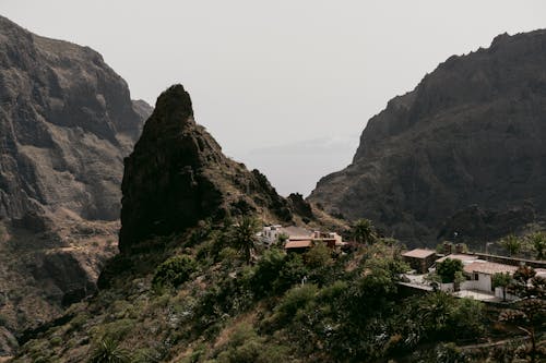 Foto d'estoc gratuïta de bosc, cases, masia