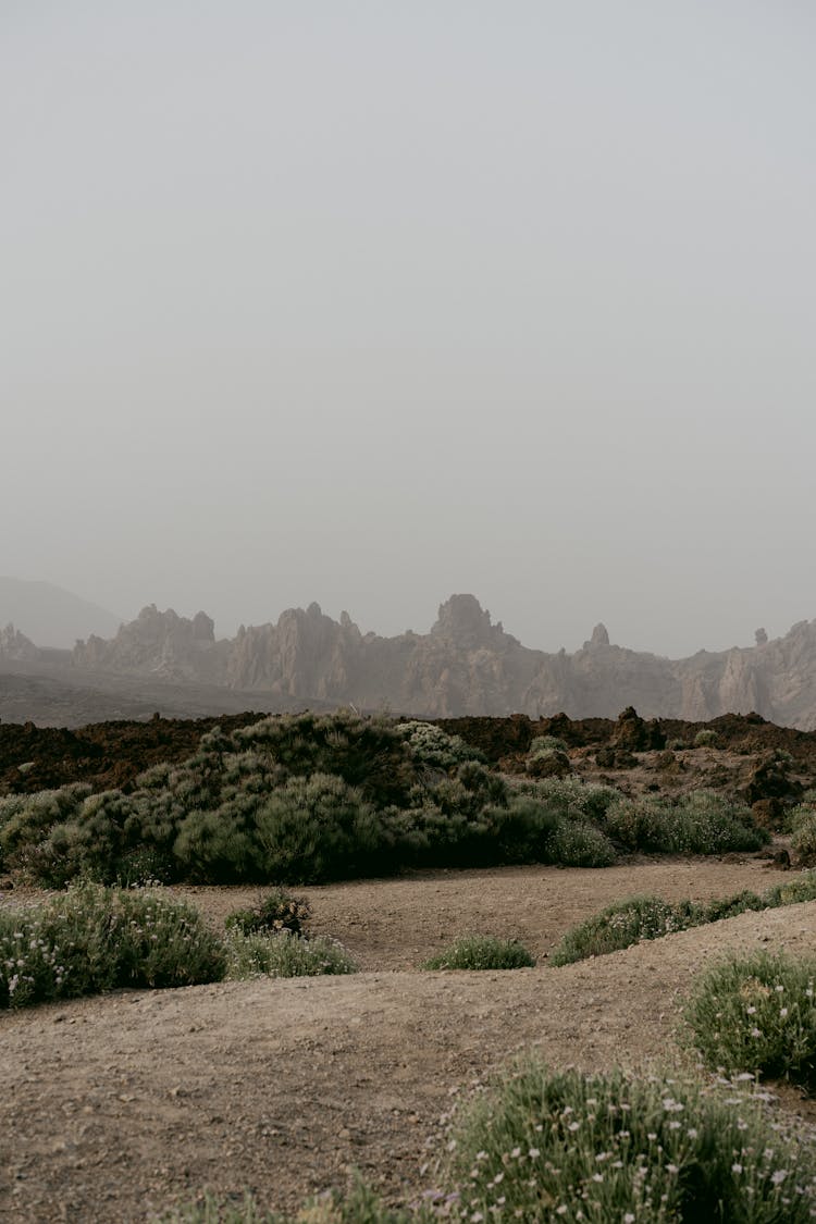 Great Mountain Landscape