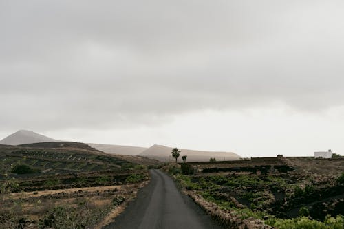 Landscape Photography of an Open Road