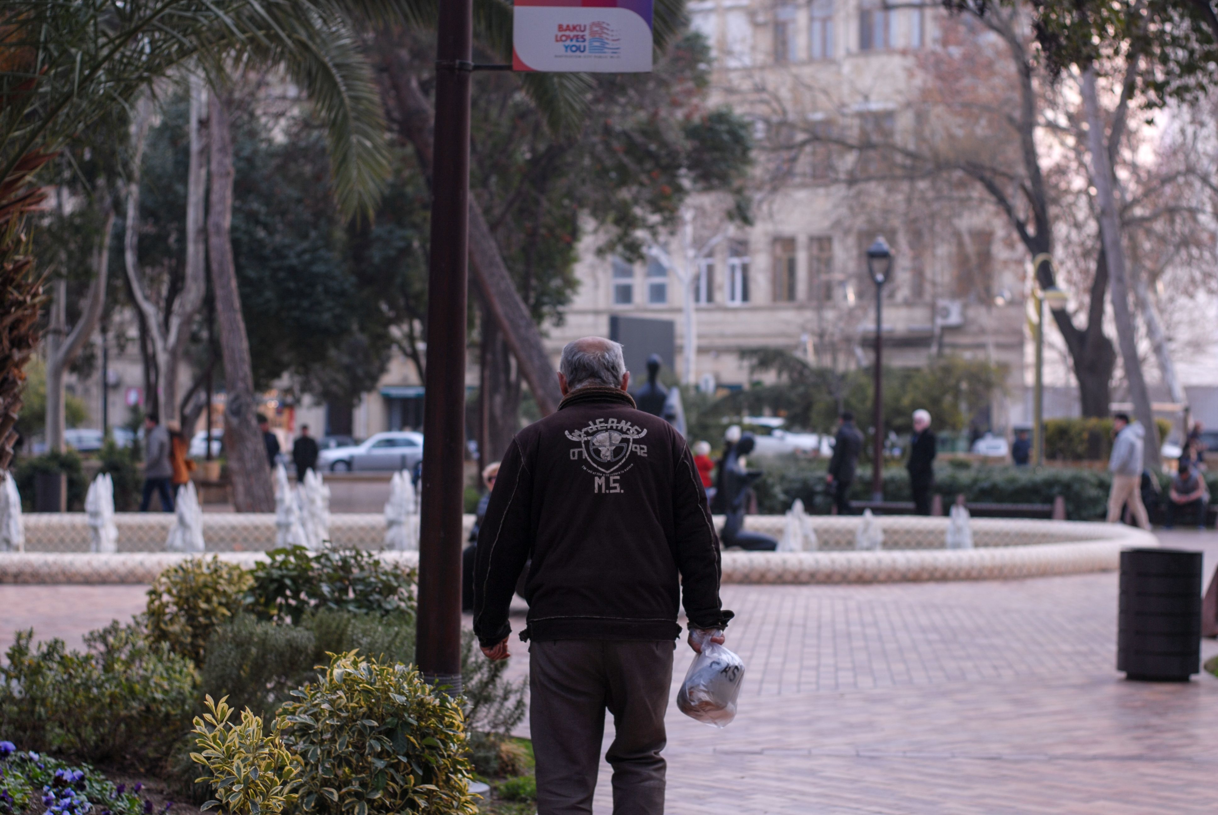Back View of a Man Walking in a Park · Free Stock Photo