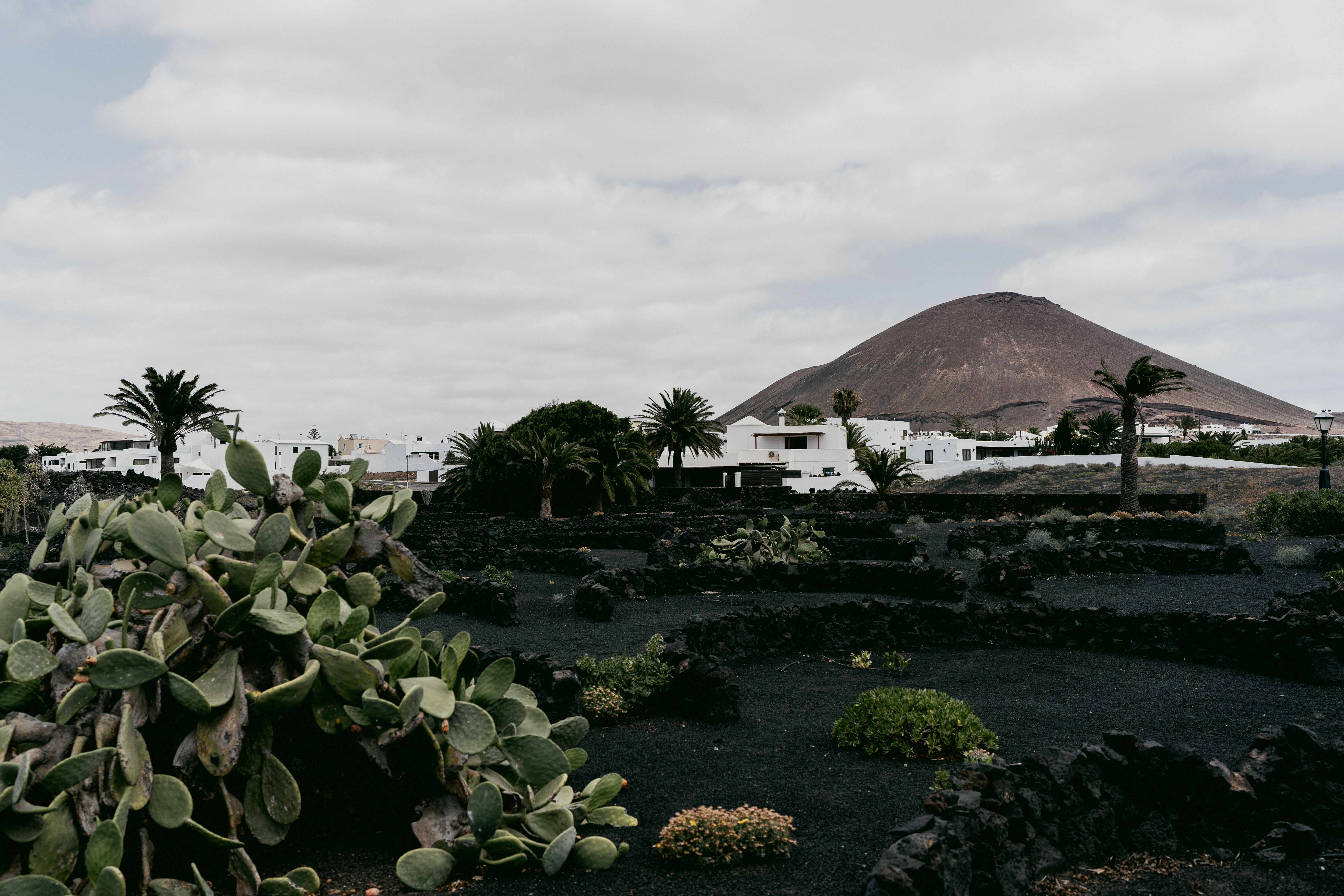 Picturesque village in Lanzarote with volcanic landscape and lush plants under a cloudy sky.