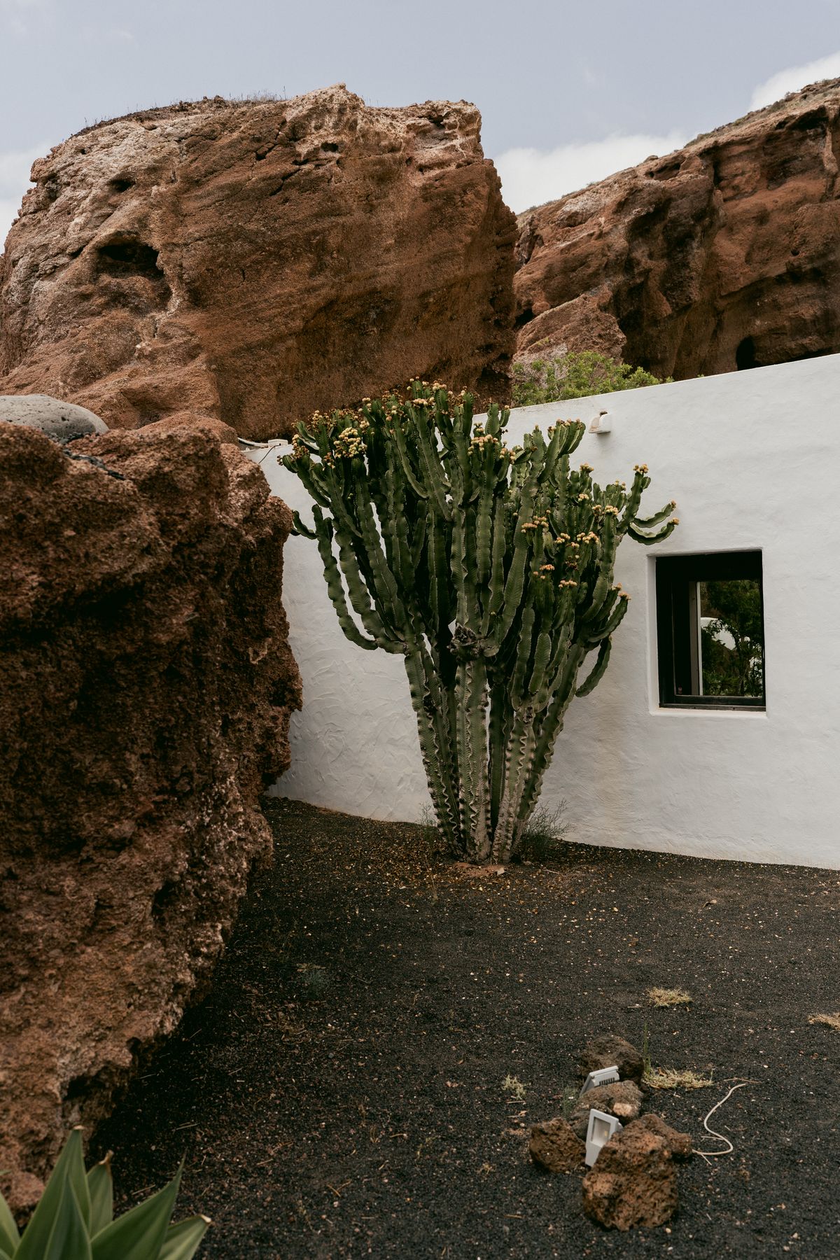 A white plastered wall with a small deep window and a tall cactus beside red rock