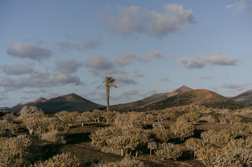 Kostnadsfri bild av landa, landskap, natur