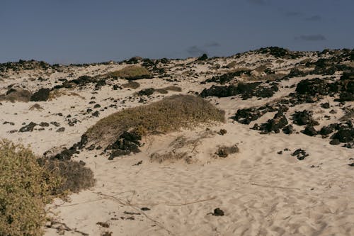 Sand in Wasteland