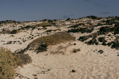 Free A dry and rocky desert landscape featuring scattered vegetation under a clear blue sky. Stock Photo