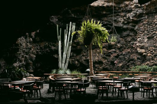 Unique cafe interior in a cave setting with cactus and hanging plants, creating a natural ambiance.