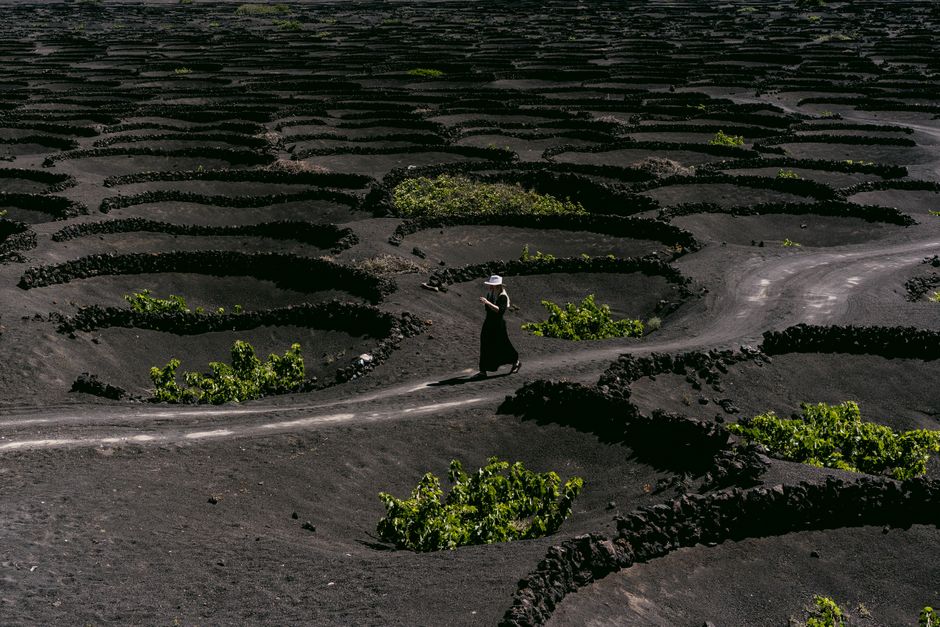 A woman strolls through volcanic vineyards on a sunny day, showcasing unique terraced landscapes.