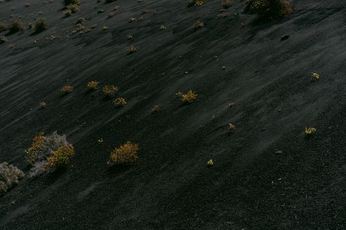 Free A barren volcanic slope with scattered sparse vegetation in an arid environment. Stock Photo