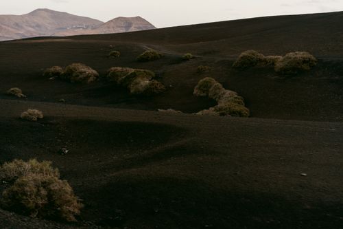 Free Explore a vast volcanic landscape with scattered bushes and dark terrain under a cloudy sky. Stock Photo