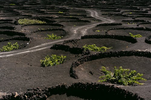 Бесплатное стоковое фото с вулканический, геология, грязная дорога
