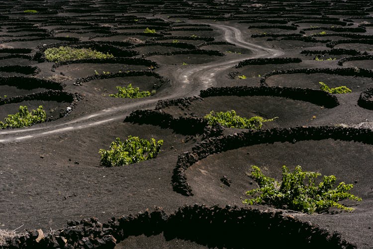 Dirt Road Through Volcanic Landscape