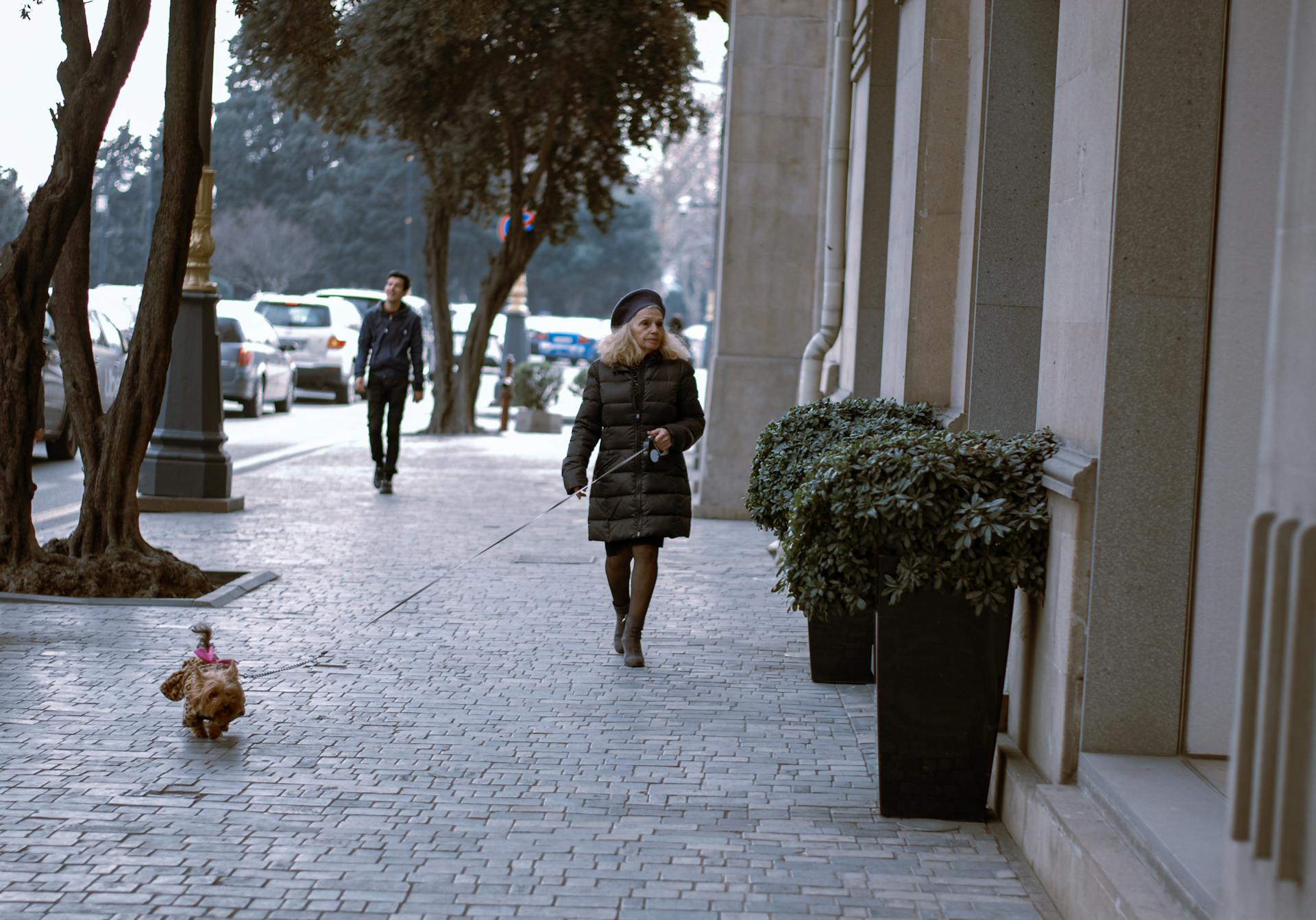 Old Woman with Dog Walking on City Street