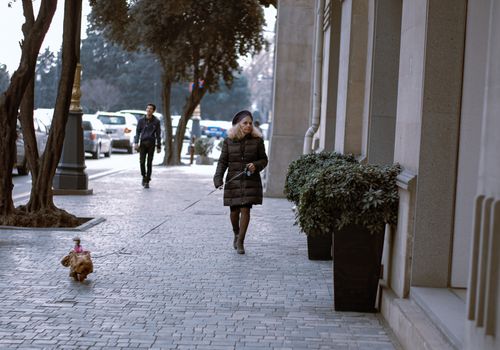 Free A senior woman walking her small dog on a city sidewalk on a chilly day. Stock Photo