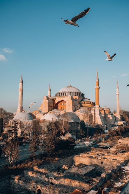 Birds Flying over Hagia Sophia Mosque 