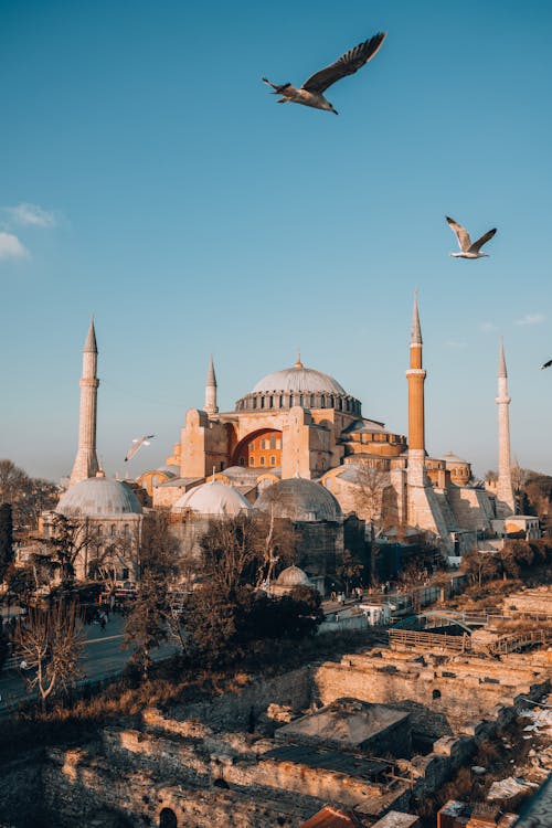 Gratis lagerfoto af flyve, fugle, hagia sophia