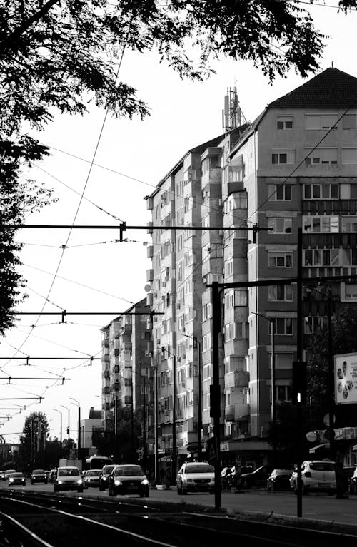 A Grayscale of a Road in a City