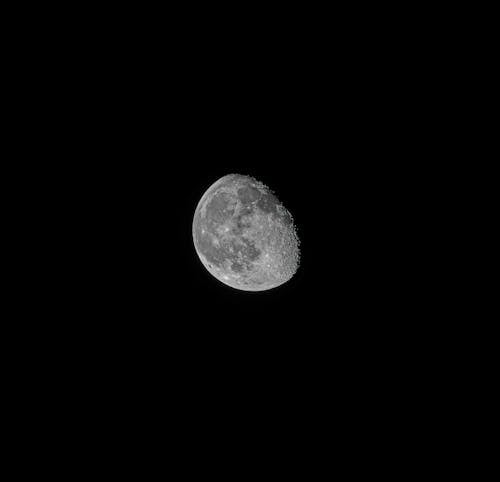Grayscale Photo of the Moon