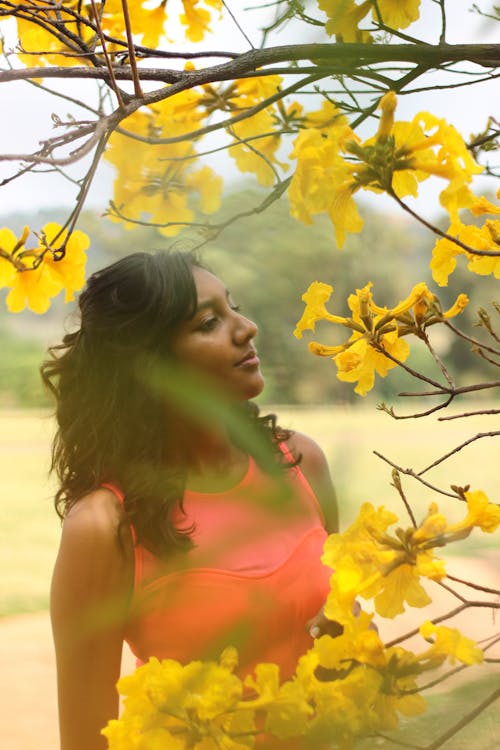 Free Woman Looking at Yellow Petaled Flowering Plant Stock Photo