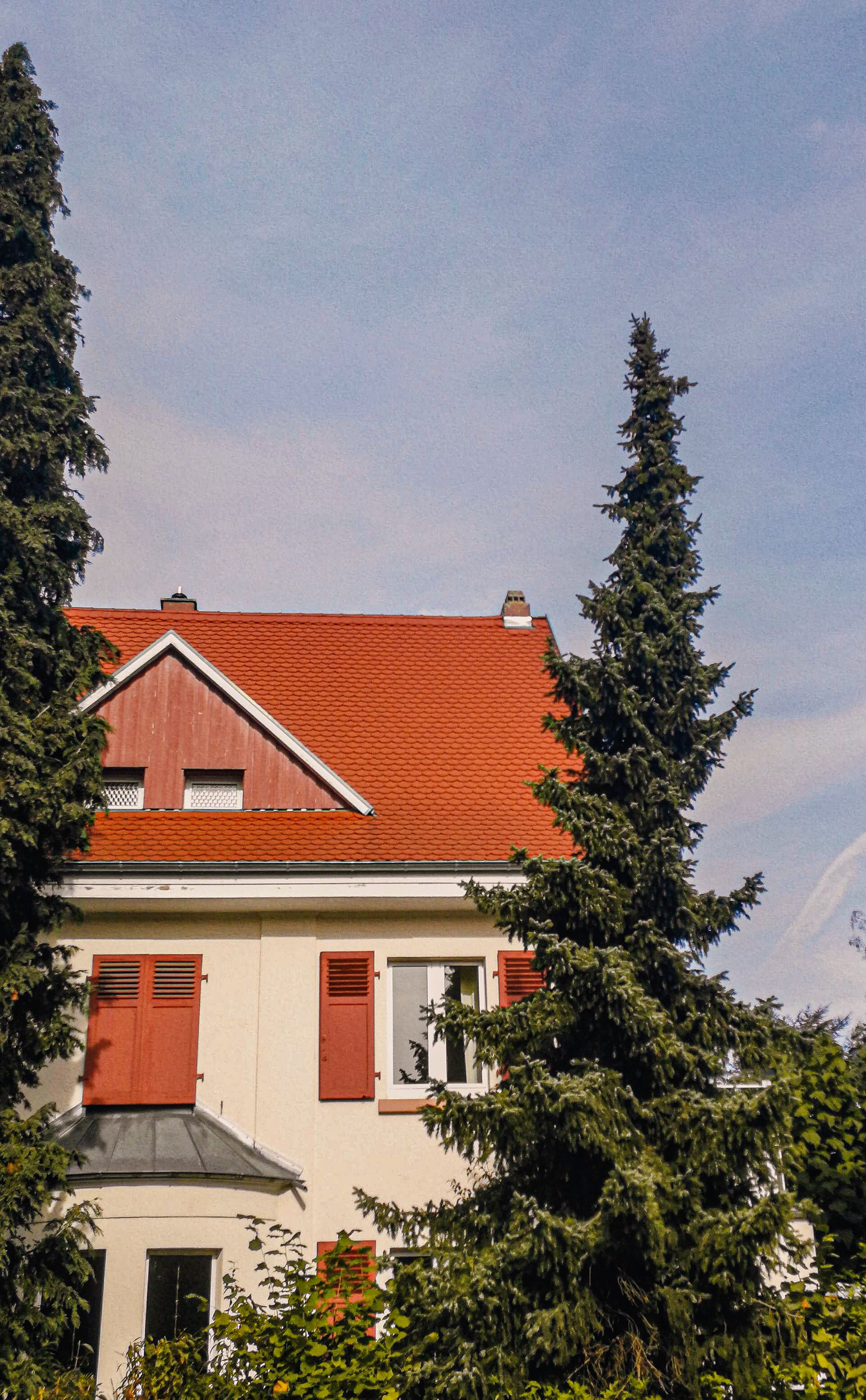 A suburban roof covered in asphalt shingles, photographed from the yard on a clear day
