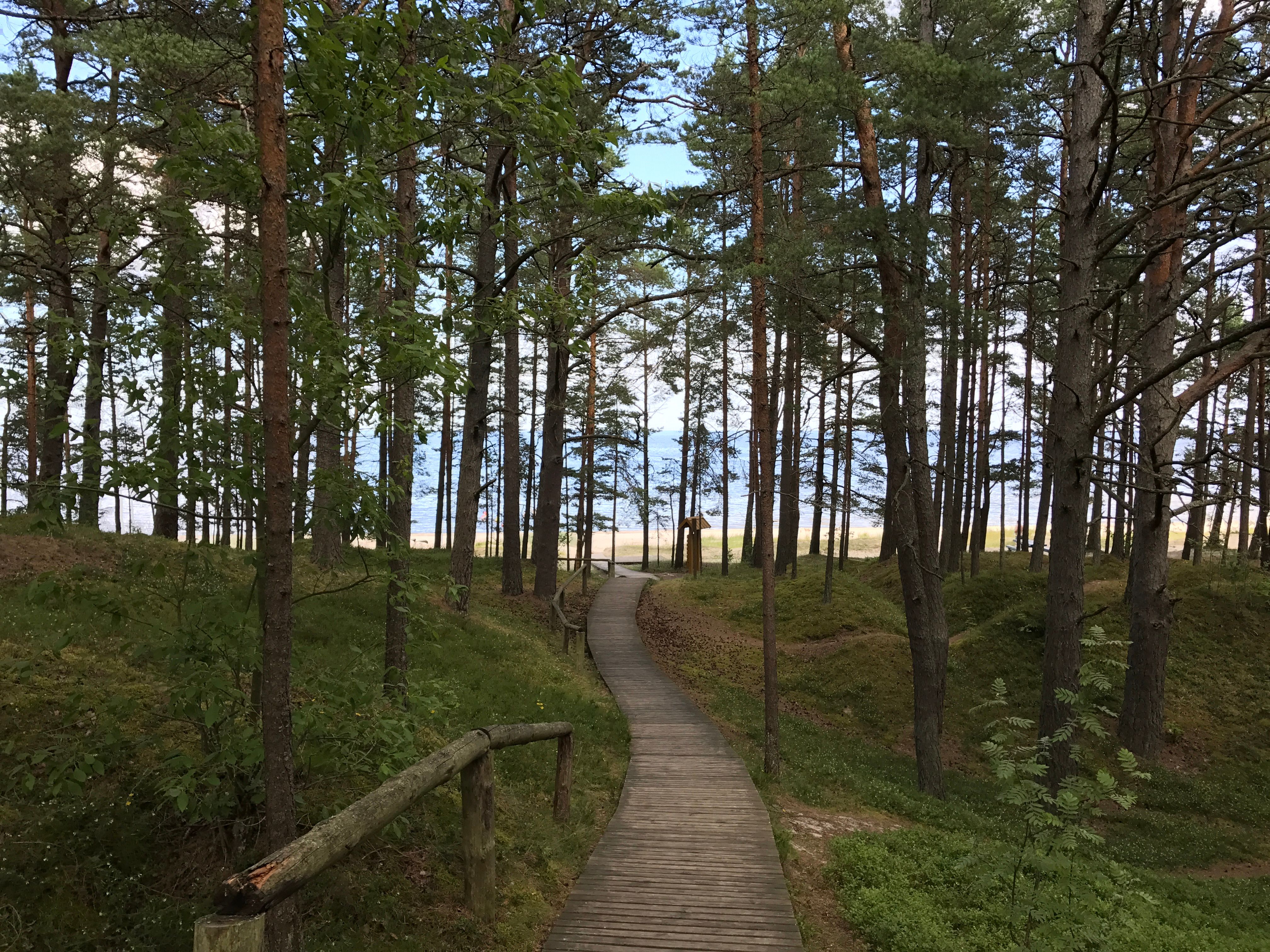 Dzintari Forest Park