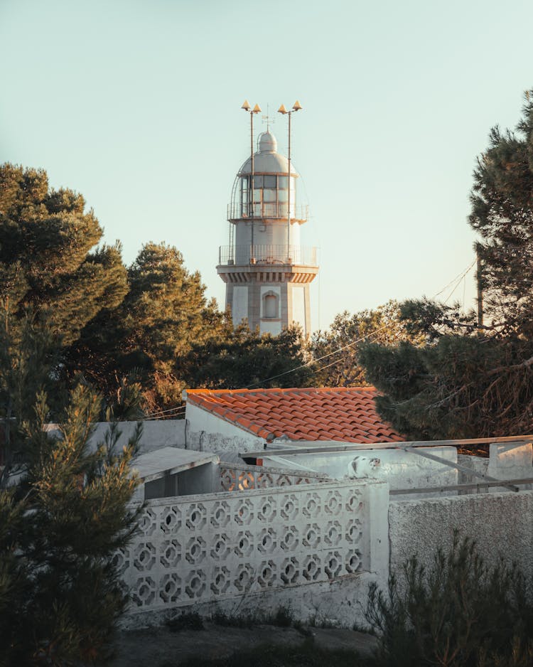 Lighthouse And Trees