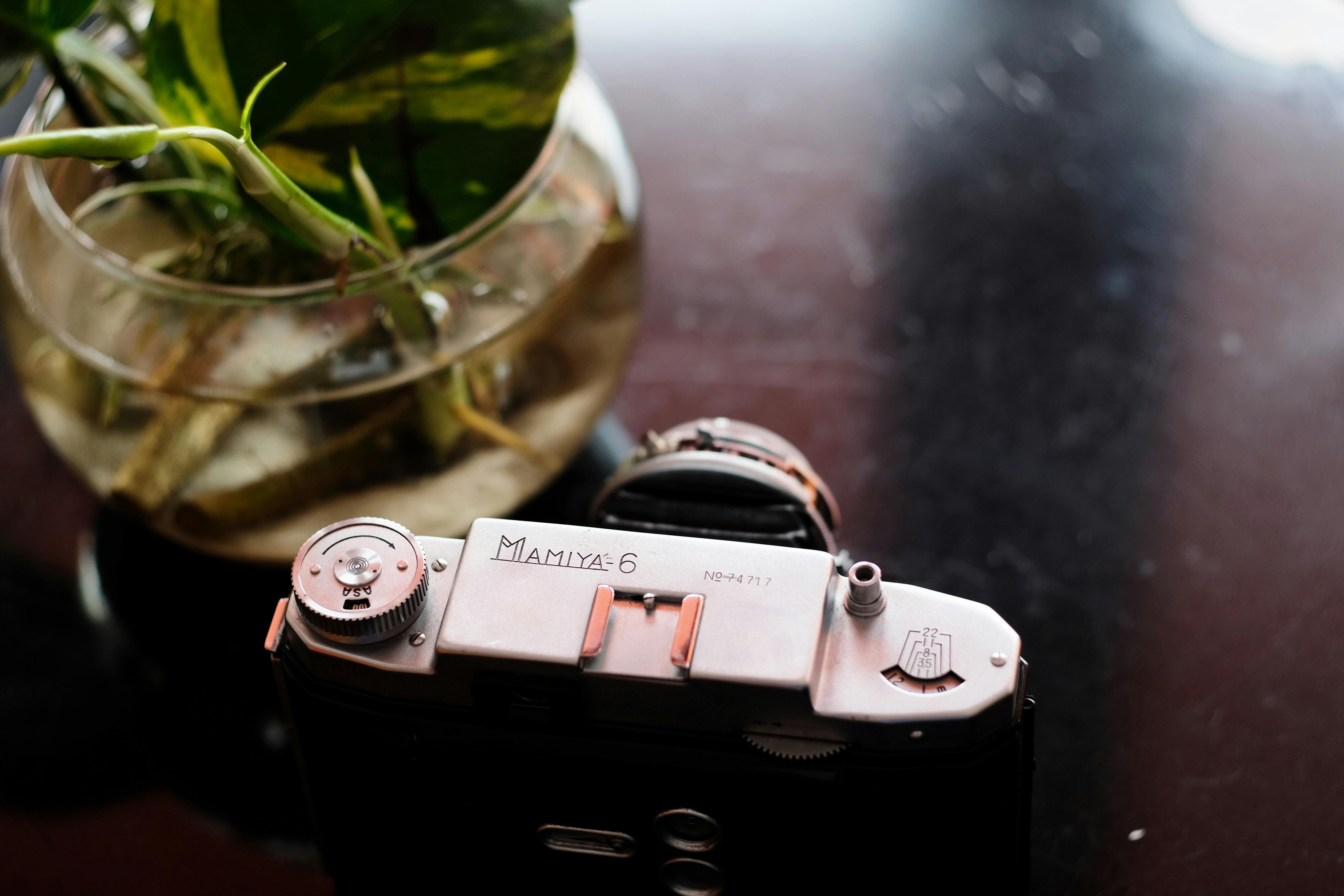 Top view of a vintage Mamiya-6 camera with a fishbowl of green plants on a reflective surface.