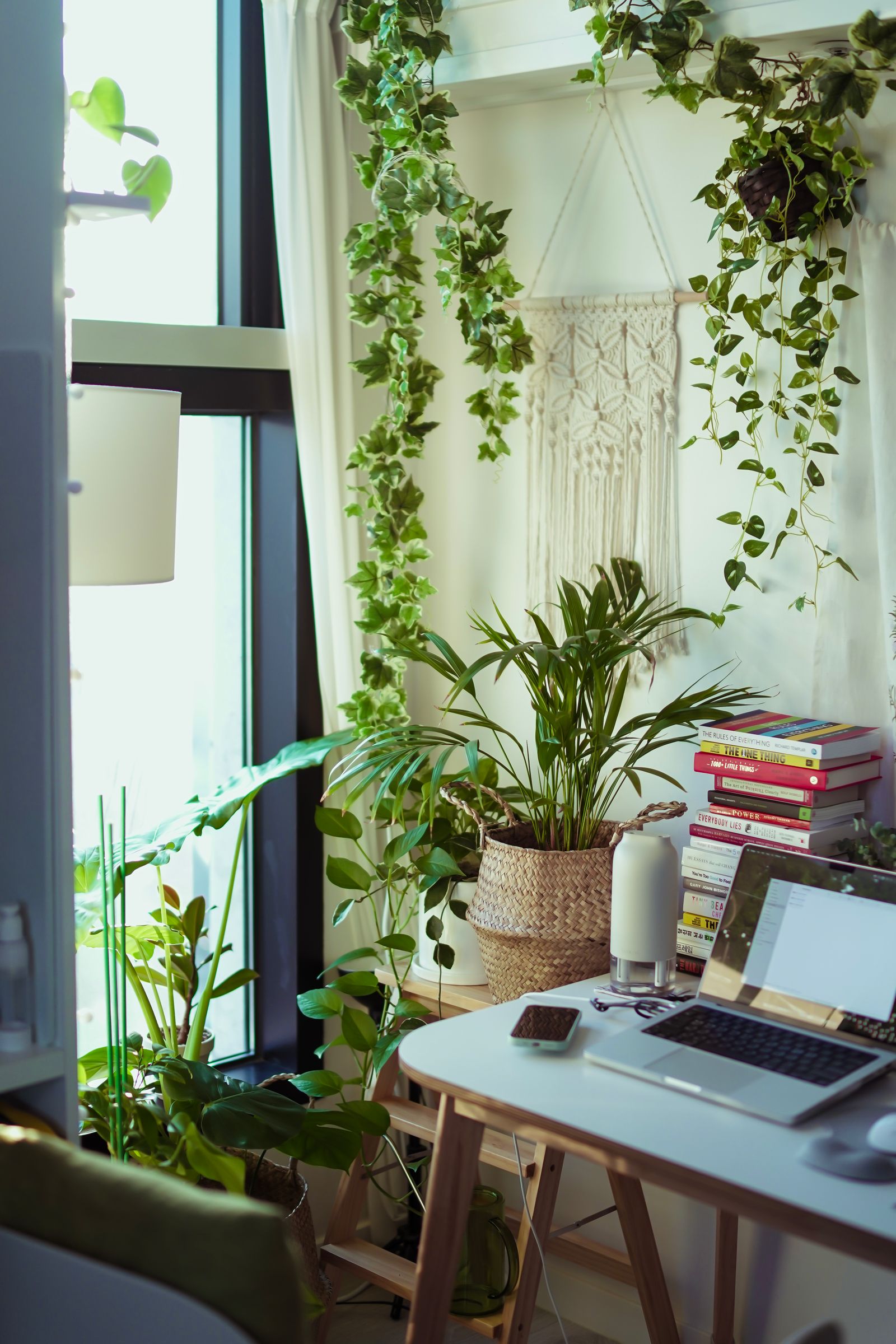 Laptop on a table inside a cozy room with potted plants.