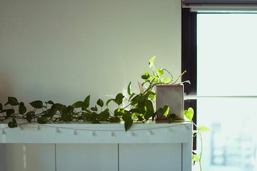 Image by 604always withlove