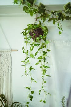 Image by 604always withlove