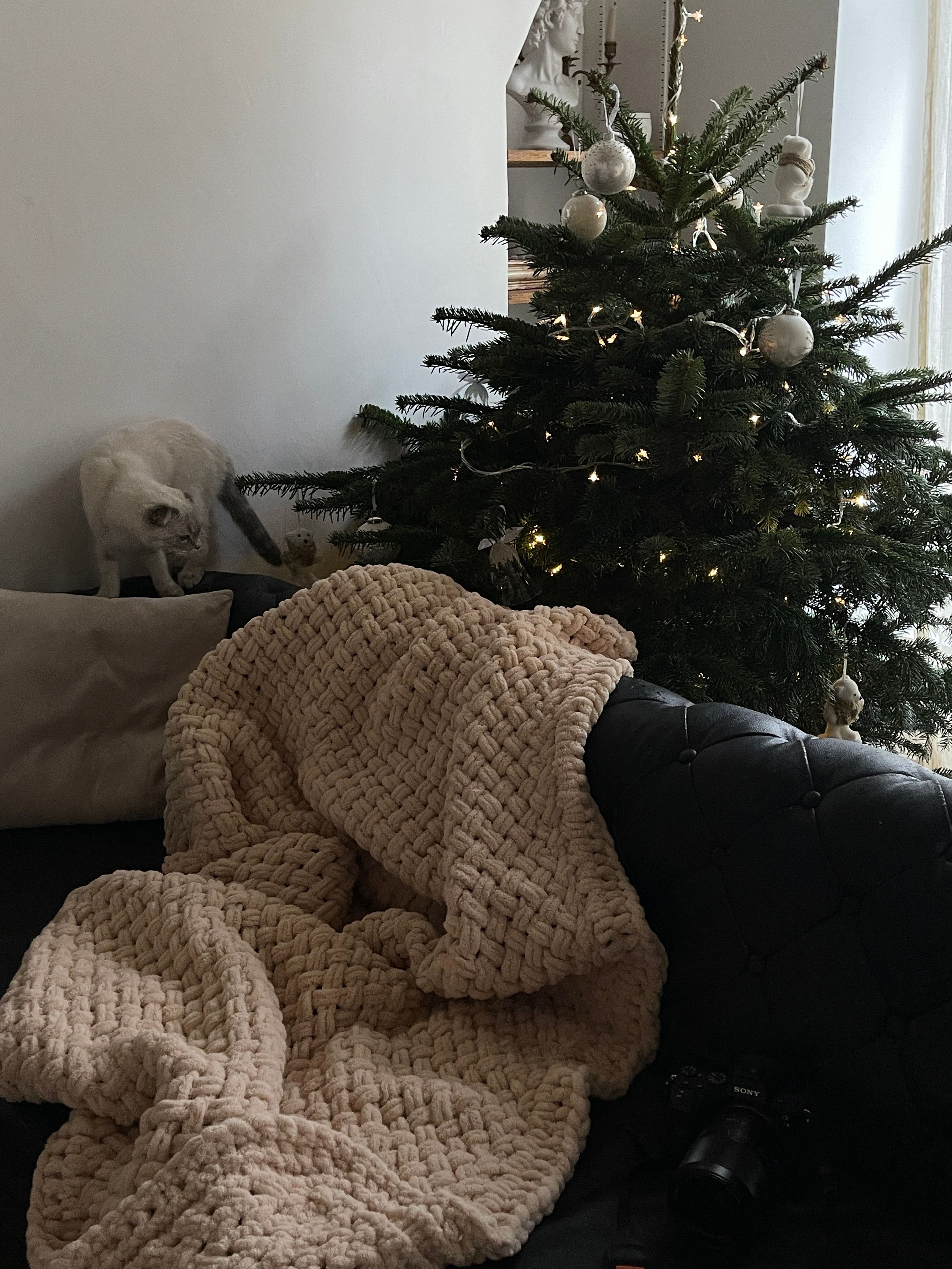 Warm and inviting living room featuring a knitted blanket, decorated Christmas tree, and curious cat.