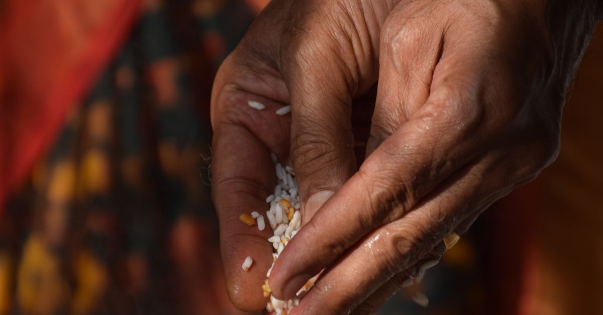 People Doing Rice Woman Preparing Rice · Free Stock Photo