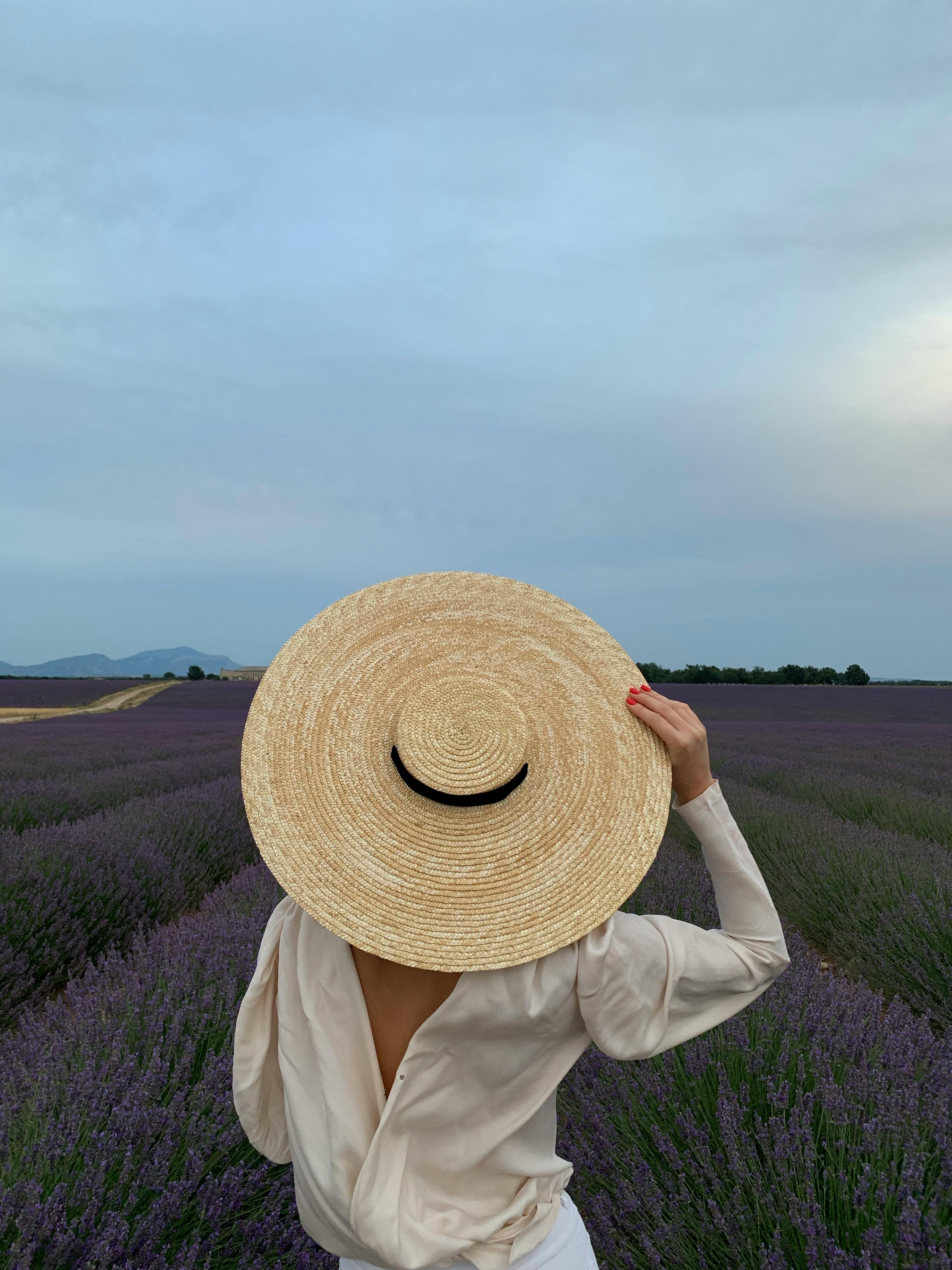 CS 401 Introduction To Alp From 8086 To Pentium Processors By Sivarama P Dandamudi D Gries And F B Schneider