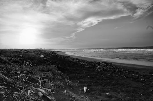Peaceful black and white beach scene with waves and an expansive sky.