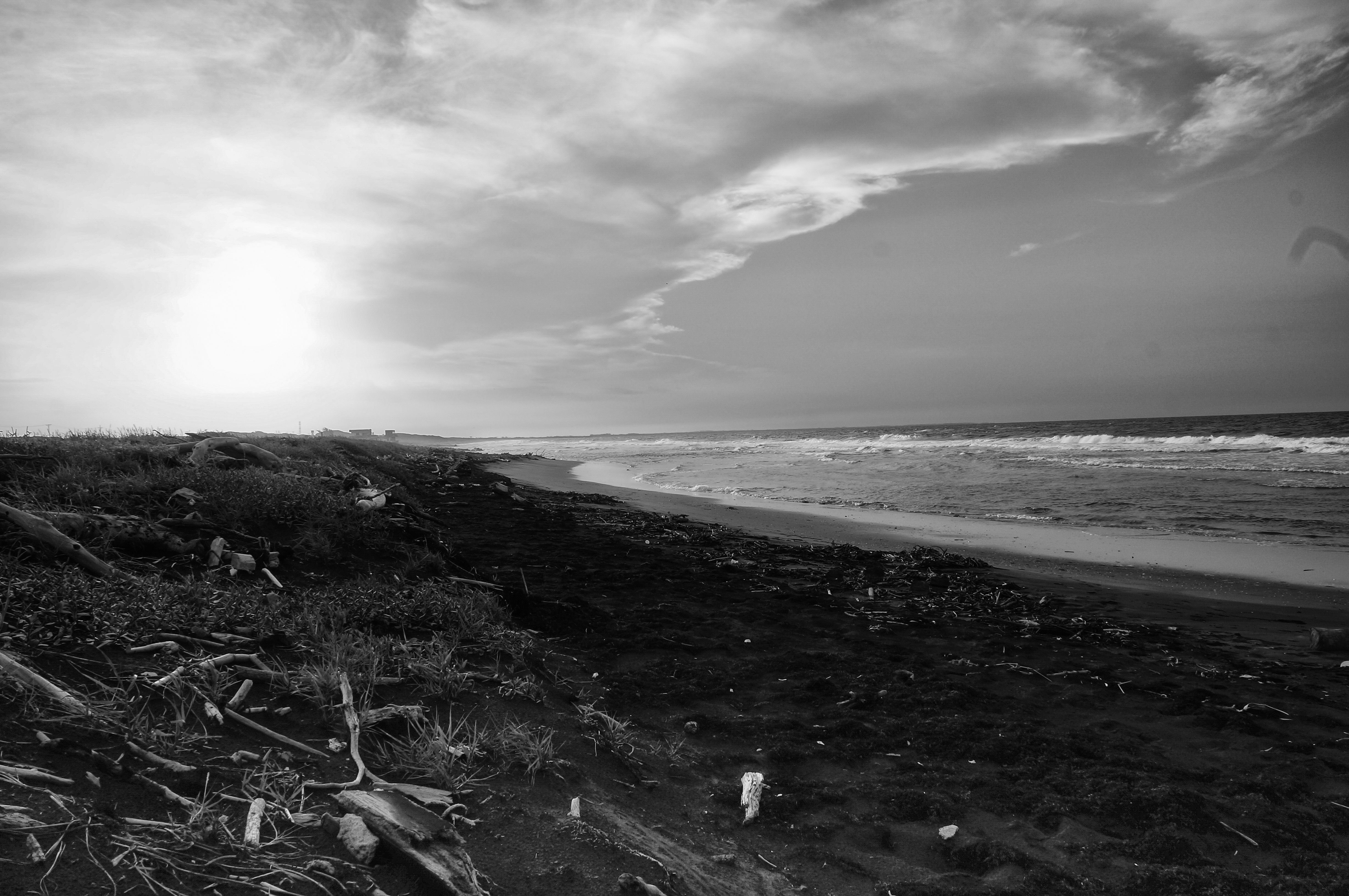 Beach in Black and White · Free Stock Photo